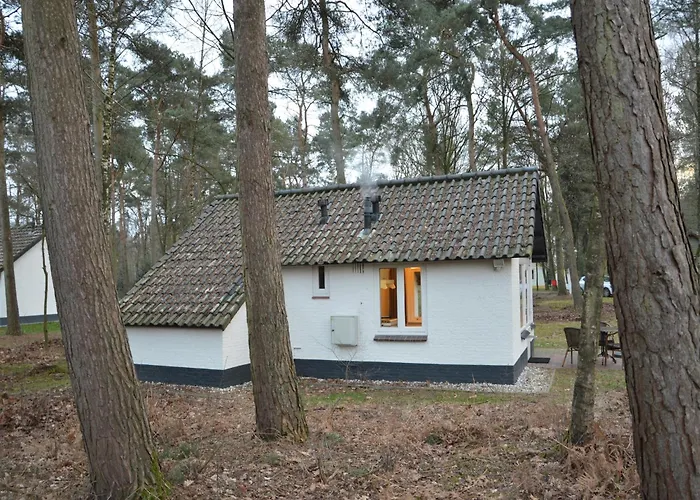 Completely Detached Bungalow In A Nature Filled Park By A Large Fen